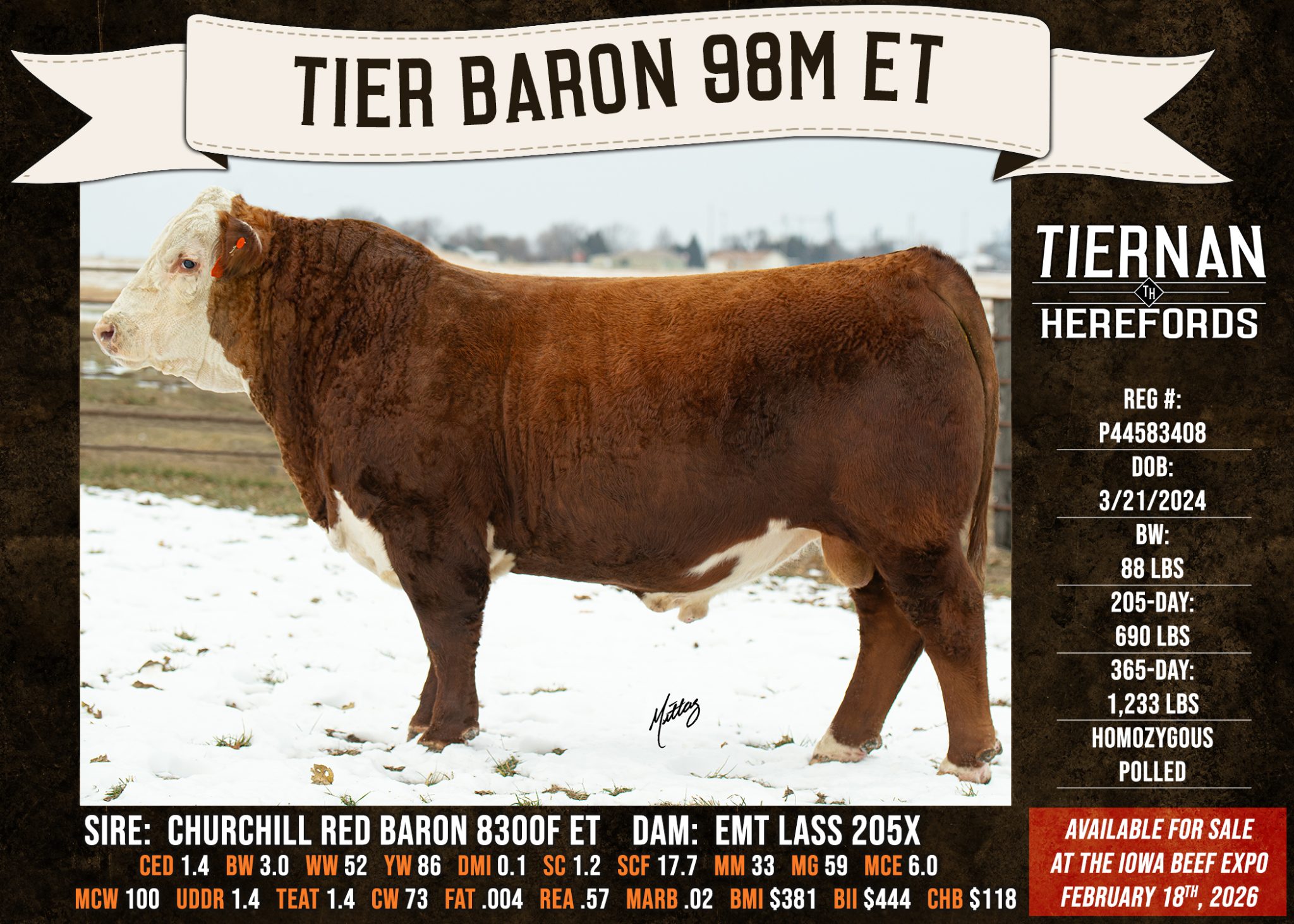TIER-BARON-98M-ET
